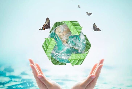 5 Sustainable Actions to Embrace in 2022