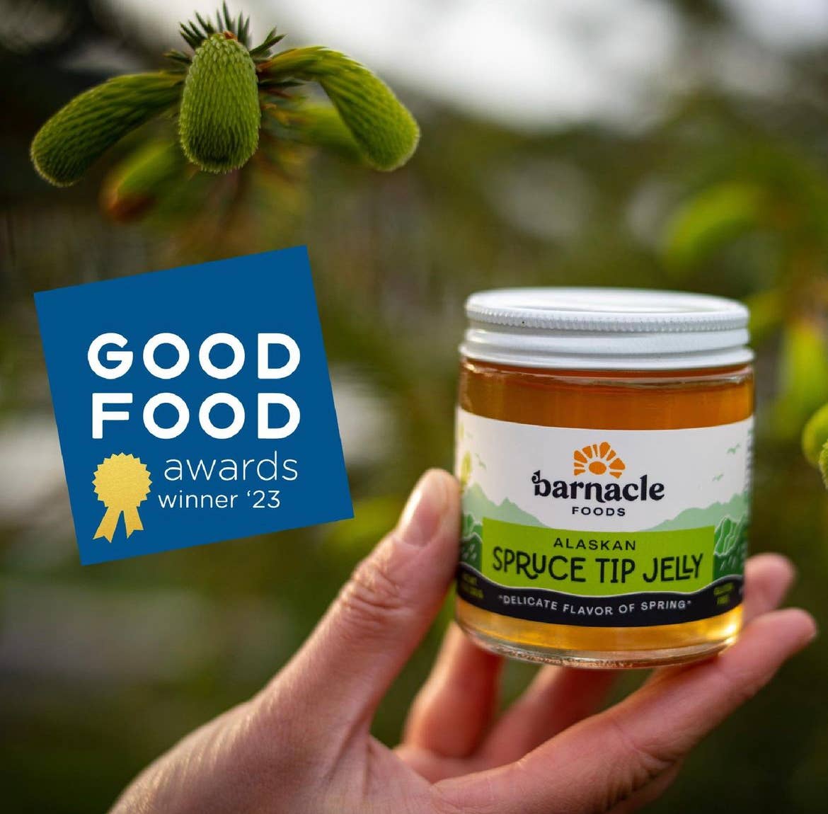 Barnacle Foods - Jalea de punta de abeto